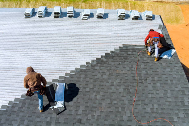 Best Roof Leak Repair  in Martin, SD